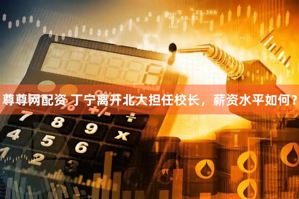 尊尊网配资 丁宁离开北大担任校长,薪资水平如何?